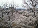 2011040317190000.jpg