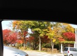 20131102.jpg