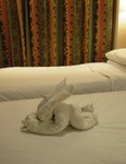 DSCN5064.jpg