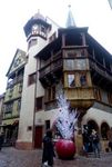 IMGP0335.jpg