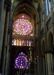 IMGP0364.jpg