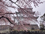 image12.JPG